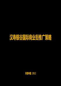 湖南汉寿银谷国际商业街项目推广策略