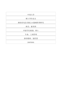 湖南省电信有限公司战略转型研究