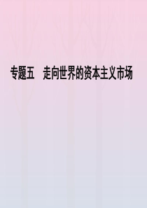 2019-2020学年高中历史 专题5 走向世界的资本主义市场专题整合拓展课件 人民版必修2