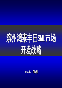 滨州鸿泰丰田小型车市场开发战略