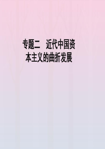 2019-2020学年高中历史 专题2 近代中国资本主义的曲折发展 二 民国时期民族工业的曲折发展课