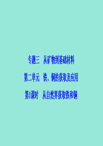 2019-2020学年高中化学 专题3 从矿物到基础材料 第2单元 第1课时 从自然界获取铁和铜课件