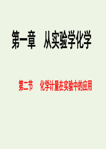 2019-2020学年高中化学 专题1.2.1 物质的量课件 新人教版必修1