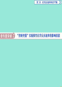 2019-2020学年高中化学 第二章 化学反应速率和化学平衡 微专题突破2课件 新人教版选修4