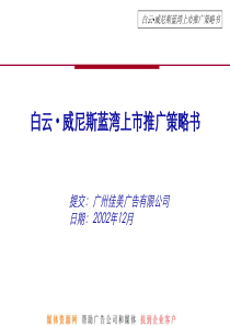 白云威尼斯蓝湾上市推广策略书