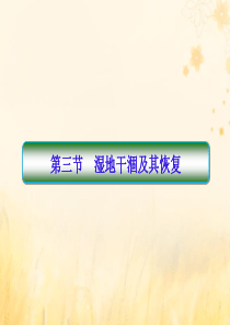 2019-2020学年高中地理 第4章 生态环境保护 4-3 湿地干涸及其恢复课件 新人教版选修6