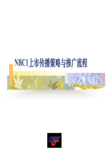 电通-NBC1上市传播策略与推广流程