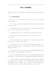 盛名之下的战略尴尬(doc11)(1)