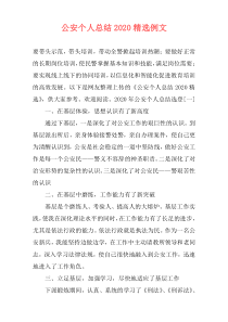 公安个人总结2020精选例文