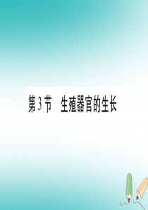 2018秋七年级生物上册 第三单元 第6章 第3节 生殖器官的生长习题课件 （新版）北师大版