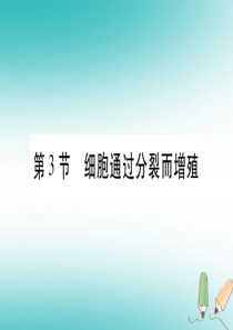 2018秋七年级生物上册 第二单元 第3章 第3节 细胞通过分裂而增殖习题课件 （新版）北师大版