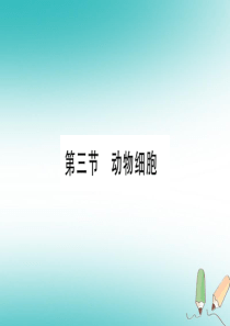 2018秋七年级生物上册 第2单元 第1章 第3节 动物细胞习题课件 （新版）新人教版