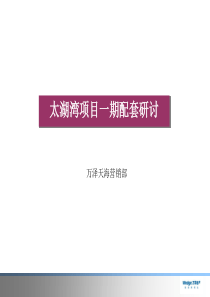 万泽太湖湾商业地产项目一期配套规划方案-62页