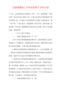 自然资源局上半年总结和下半年计划