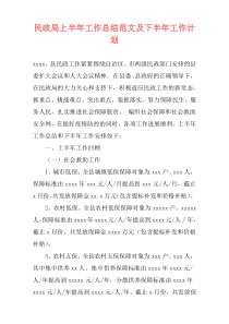 民政局上半年工作总结范文及下半年工作计划