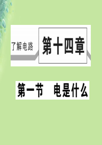 2018秋九年级物理全册 第十四章 第一节 电是什么习题课件 （新版）沪科版