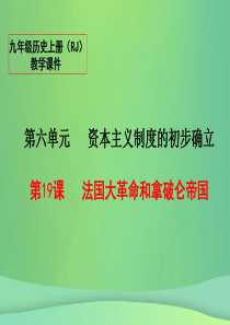 2018秋九年级历史上册 19 法国大革命和拿破仑帝国教学课件 新人教版