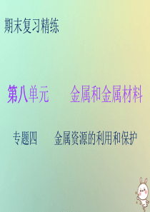 2018秋九年级化学下册 期末复习精炼 第八单元 金属和金属材料 专题四 金属资源的利用和保护课件 