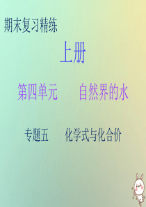 2018秋九年级化学上册 期末复习精炼 第四单元 自然界的水 专题五 化学式与化合价课件 （新版）新