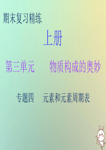 2018秋九年级化学上册 期末复习精炼 第三单元 物质构成的奥妙 专题四 元素和元素周期表课件 （新