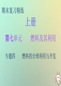 2018秋九年级化学上册 期末复习精炼 第七单元 燃料及其利用 专题四 燃料的合理利用与开发课件 （