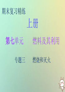 2018秋九年级化学上册 期末复习精炼 第七单元 燃料及其利用 专题三 燃烧和灭火课件 （新版）新人