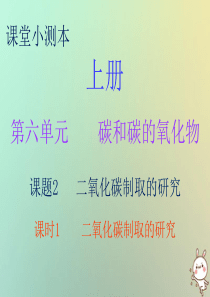 2018秋九年级化学上册 第六单元 碳和碳的氧化物 课题2 二氧化碳制取的研究 课时1 二氧化碳制取