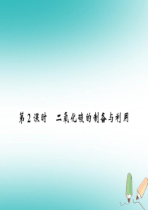 2018秋九年级化学上册 第2章 身边的化学物质 第2节 奇妙的二氧化碳（第2课时）二氧化碳的制备与