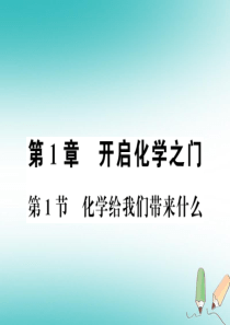 2018秋九年级化学上册 第1章 开启化学之门 第1节 化学给我们带来什么习题课件 沪教版