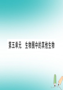 2018秋八年级生物上册 第5单元 第1章 第1节 腔肠动物和扁形动物第1课时习题课件 （新版）新人