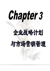 第3章企业战略计划1