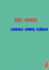 2018秋八年级道德与法治上册 热点专题训练四 维护国家利益 树立国家安全观习题课件 新人教版