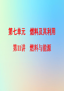 2018年中考化学总复习 第一部分 教材梳理 阶段练习 第七单元 燃料及其利用 第11讲 燃料与能源