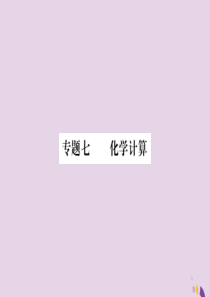 2018年中考化学总复习 第二轮 专题训练 提升能力 专题七 化学计算练习课件