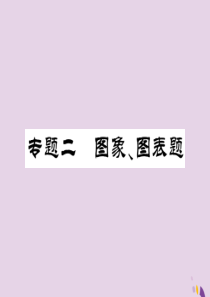 2018年中考化学总复习 第二轮 专题训练 提升能力 专题二 图像图表题课件