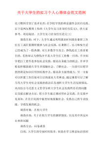 关于大学生的实习个人心得体会范文范例