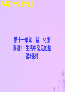 2018年秋九年级化学下册 第十一单元 盐 化肥 课题1 生活中常见的盐（第3课时）教学课件 （新版