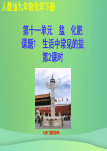 2018年秋九年级化学下册 第十一单元 盐 化肥 课题1 生活中常见的盐（第2课时）教学课件 （新版