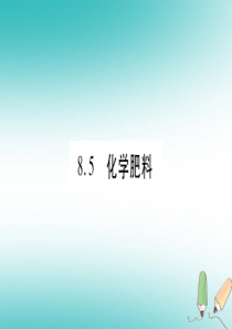 2018年秋九年级化学下册 第8章 常见的酸、碱、盐 8.5 化学肥料习题课件 （新版）粤教版