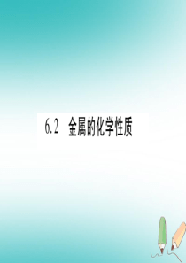 2018年秋九年级化学下册 第6章 金属 6.2 金属的化学性质 第1课时 金属与氧气、稀酸的反应习