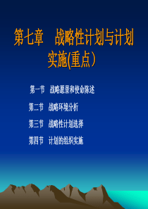 第七章 战略性计划与计划实施(重点)