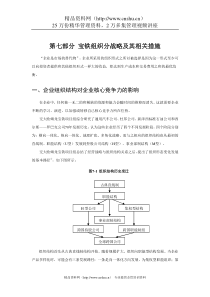 第七部分 宝铁组织分战略及其相关措施