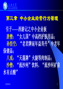 第三、四章中小企业经营行为、战略管理