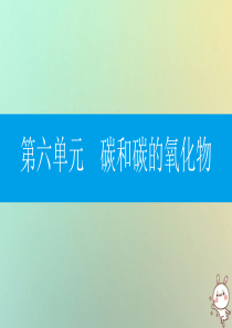 2018年秋九年级化学上册 第六单元 碳和碳的氧化物 课题2 二氧化碳制取的研究课件 （新版）新人教