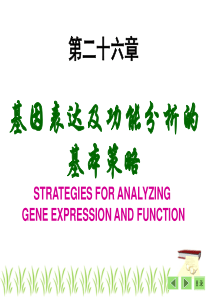 第26章基因表达及功能分析基本策略