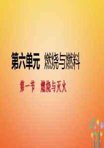 2018年秋九年级化学上册 第六单元 燃烧与燃料 第一节 燃烧与灭火 6.1.2 促进燃烧与爆炸课件