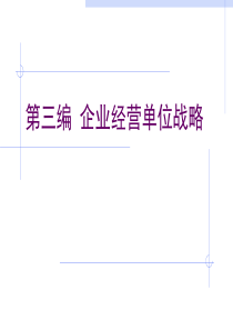 第三编-企业经营单位战略
