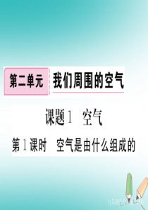 2018年秋九年级化学上册 第二单元 我们周围的空气 课题1 空气 第1课时 空气是由什么组成的练习