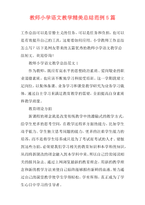 教师小学语文教学精美总结范例5篇