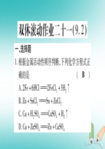 2018年秋九年级化学全册 双休滚动作业（21）习题课件 （新版）鲁教版